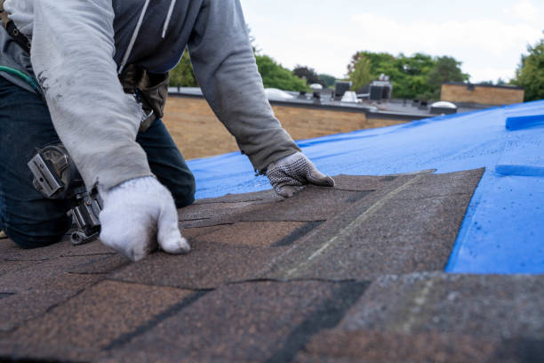 Roof Waterproofing Services in Malden, MA